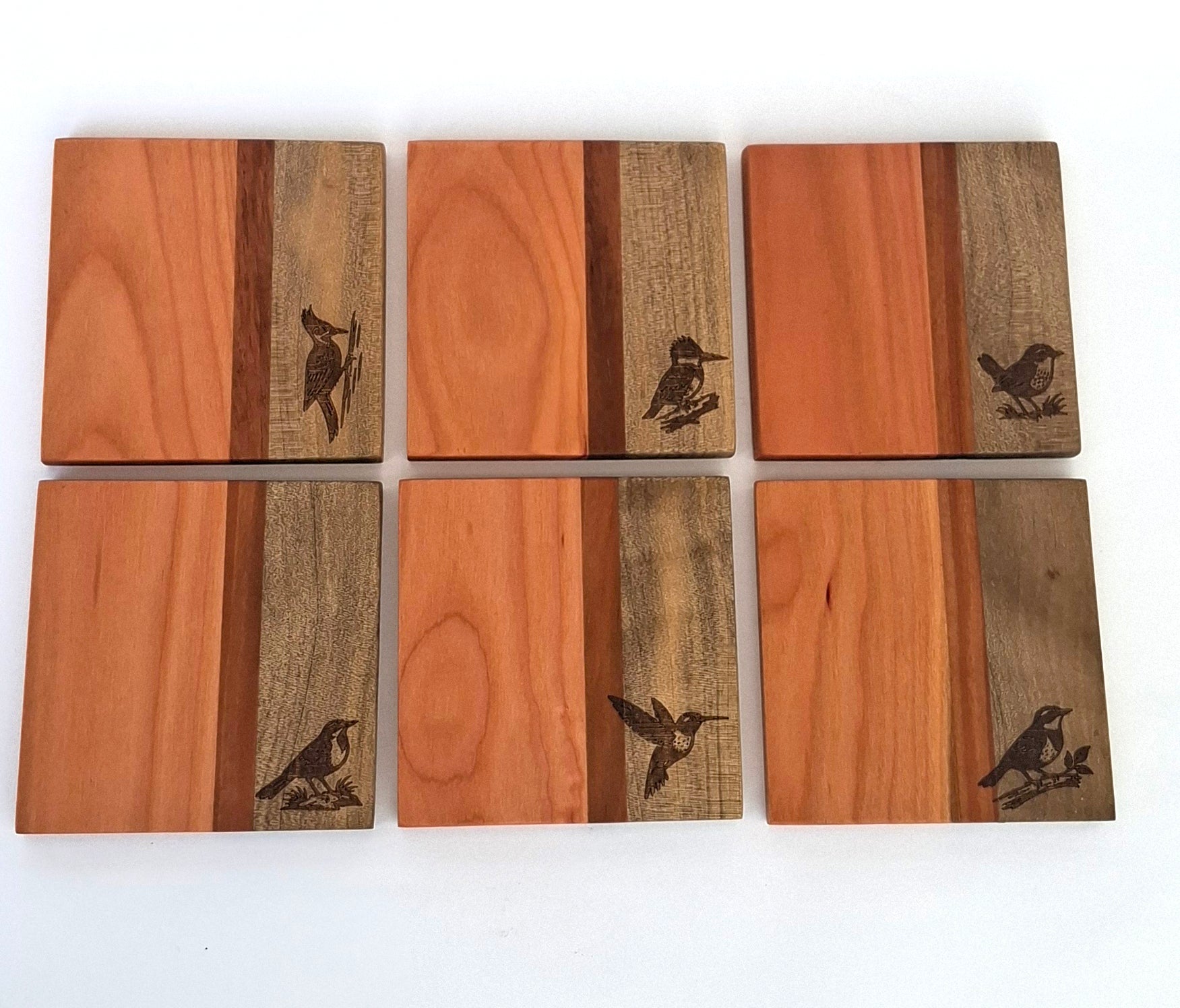 POSAVASOS PALENA - AVES CHILENAS