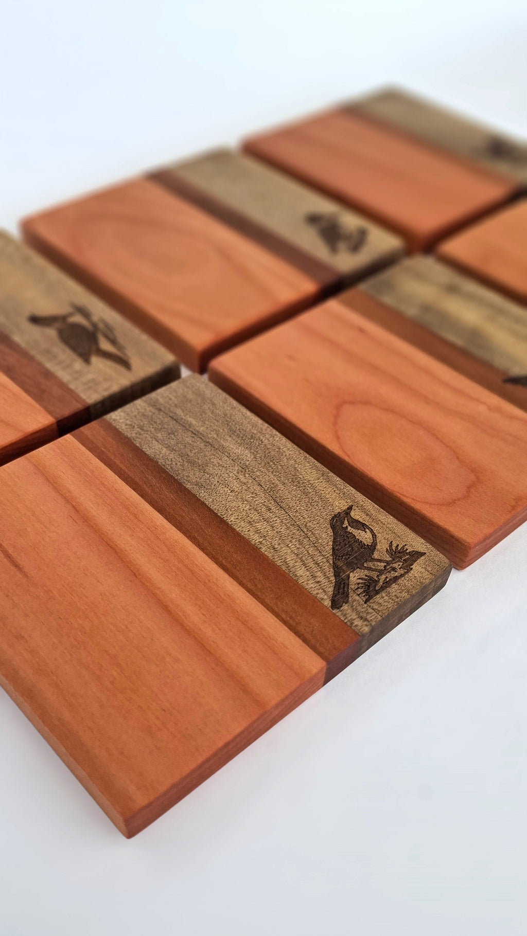 POSAVASOS PALENA - AVES CHILENAS