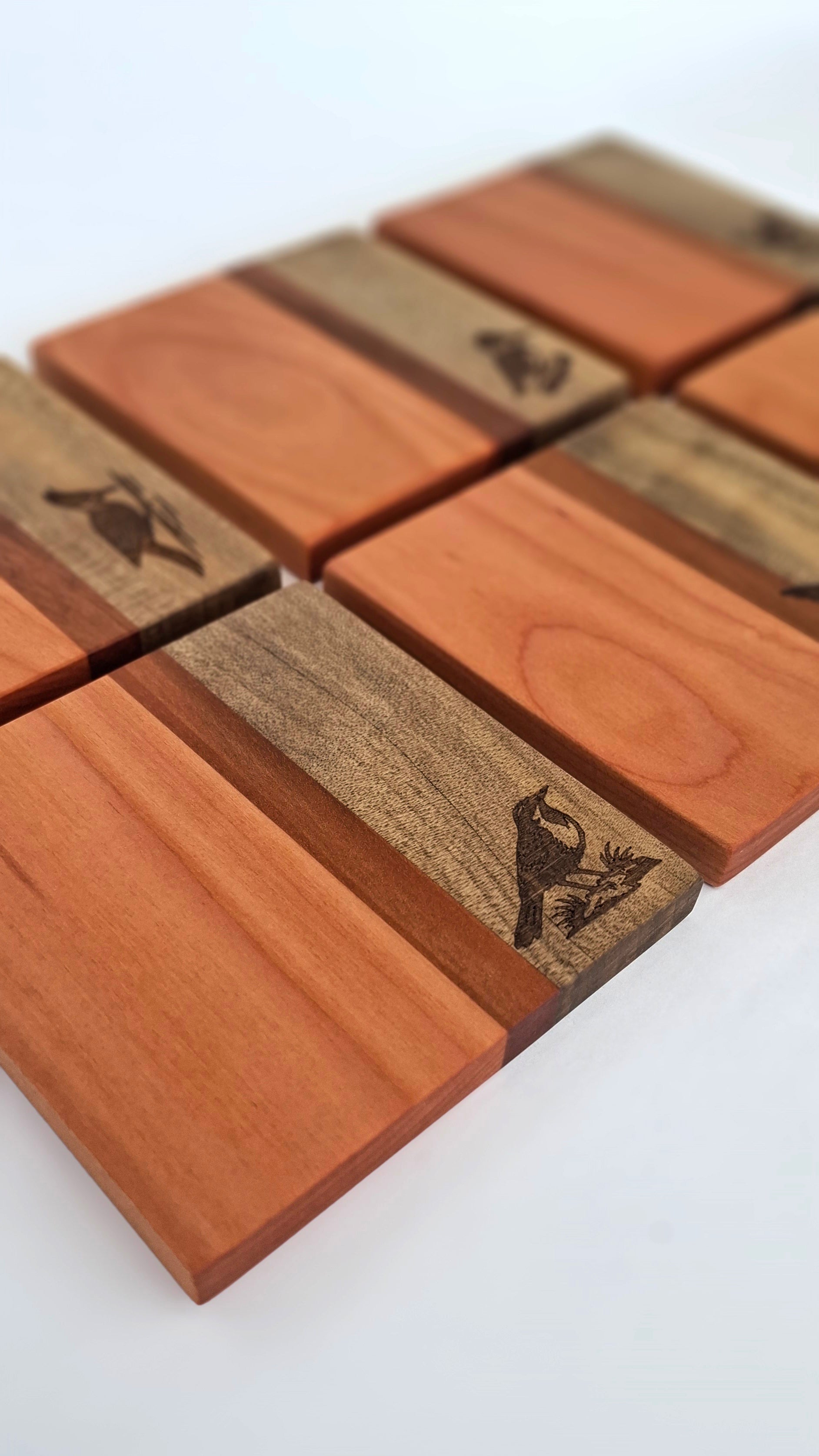 POSAVASOS PALENA - AVES CHILENAS