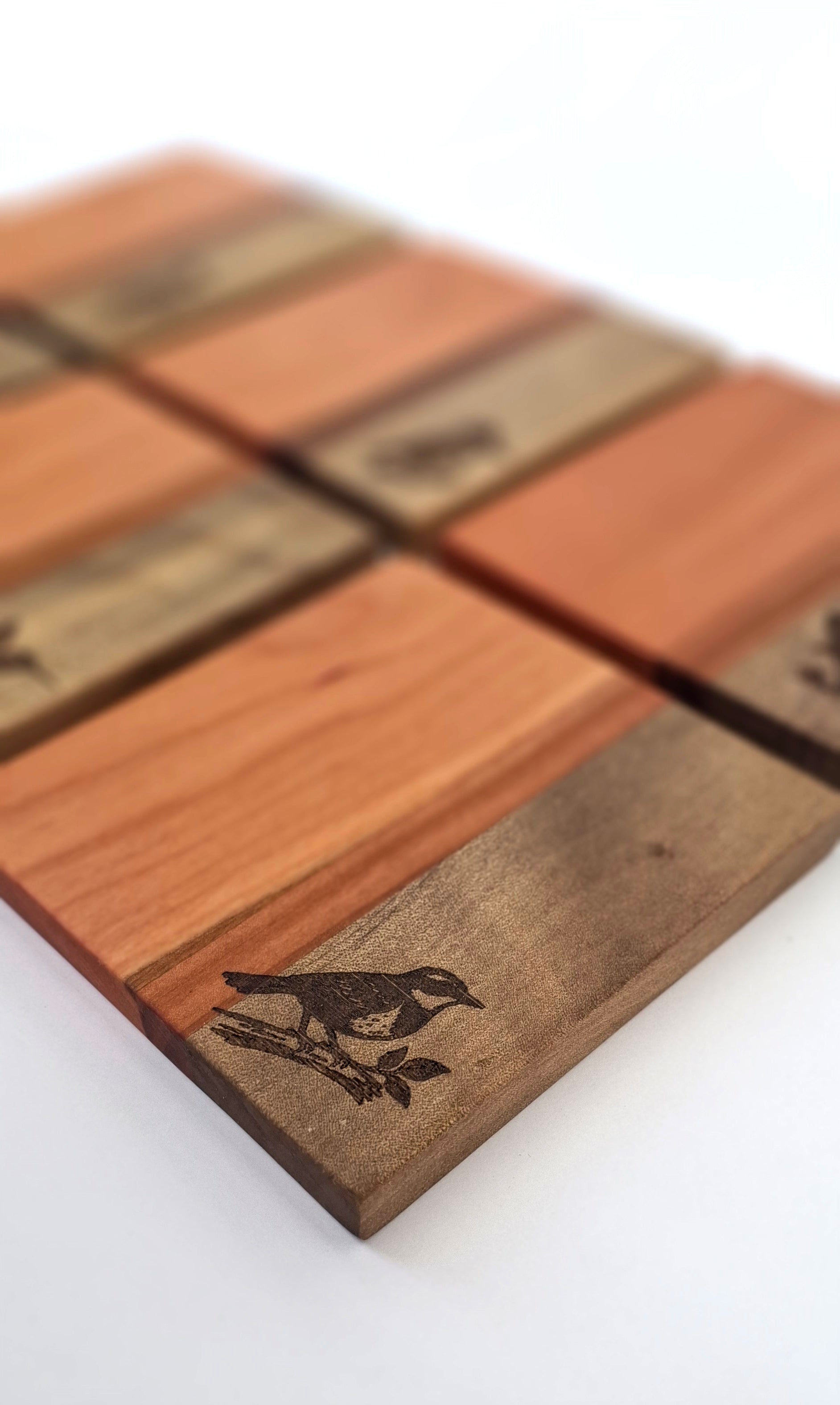 POSAVASOS PALENA - AVES CHILENAS
