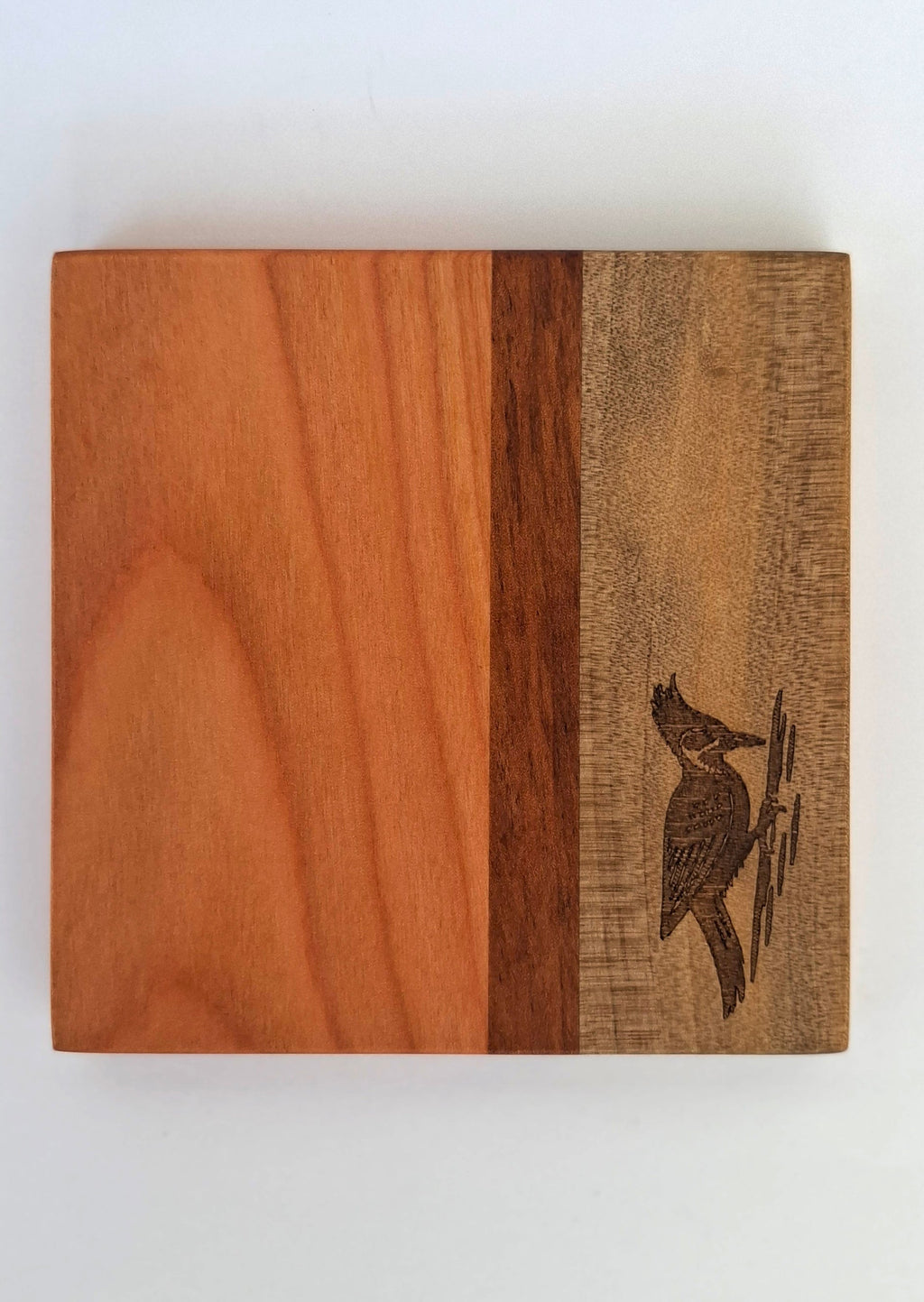 POSAVASOS PALENA - AVES CHILENAS