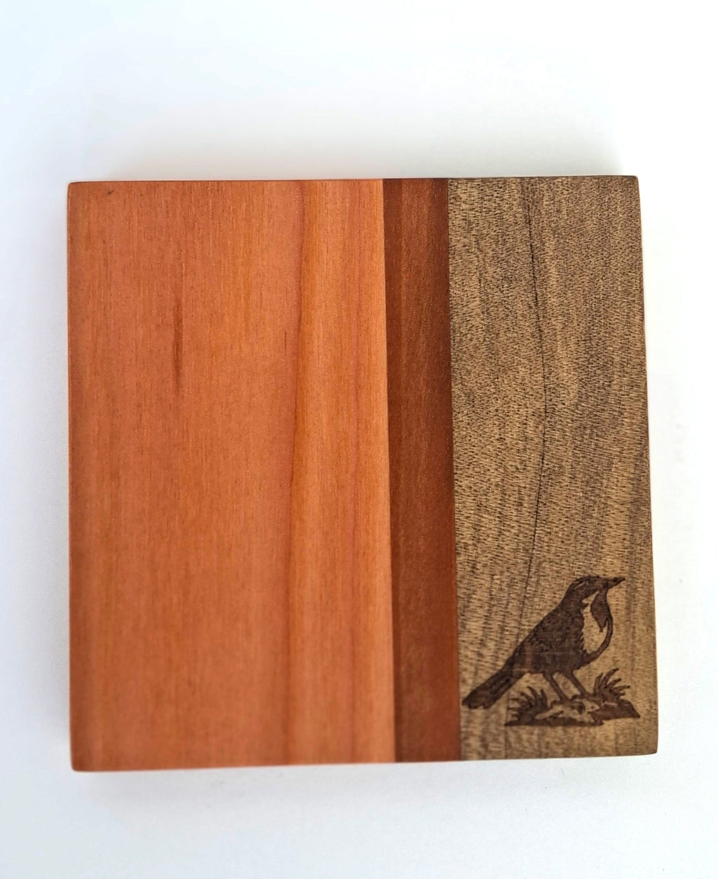 POSAVASOS PALENA - AVES CHILENAS