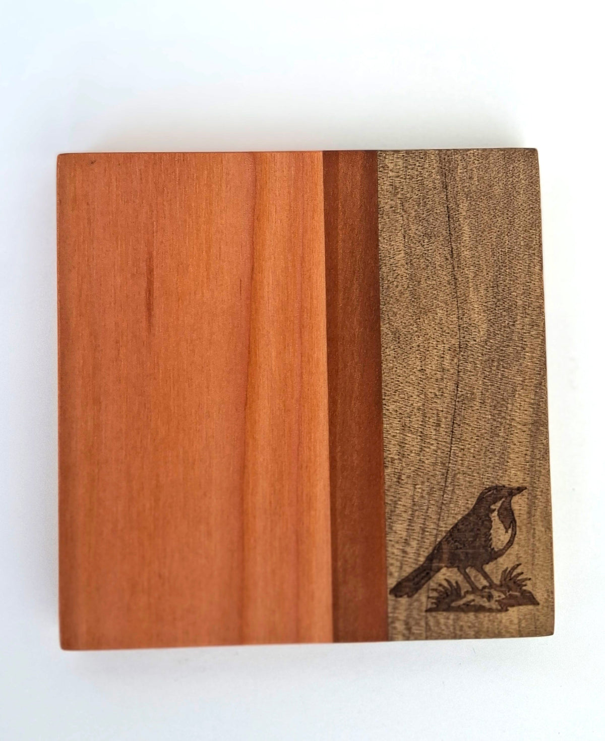 POSAVASOS PALENA - AVES CHILENAS