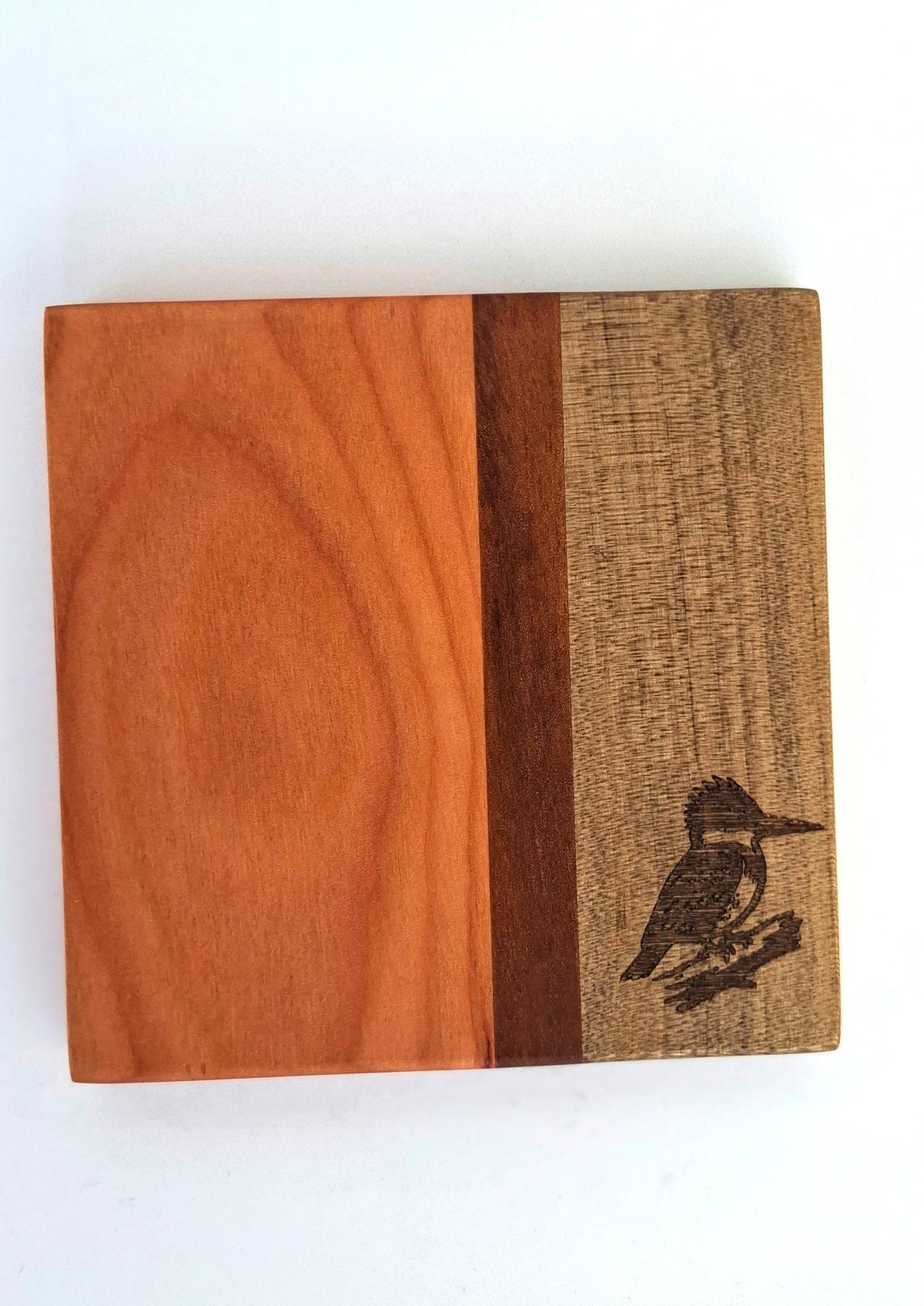 POSAVASOS PALENA - AVES CHILENAS