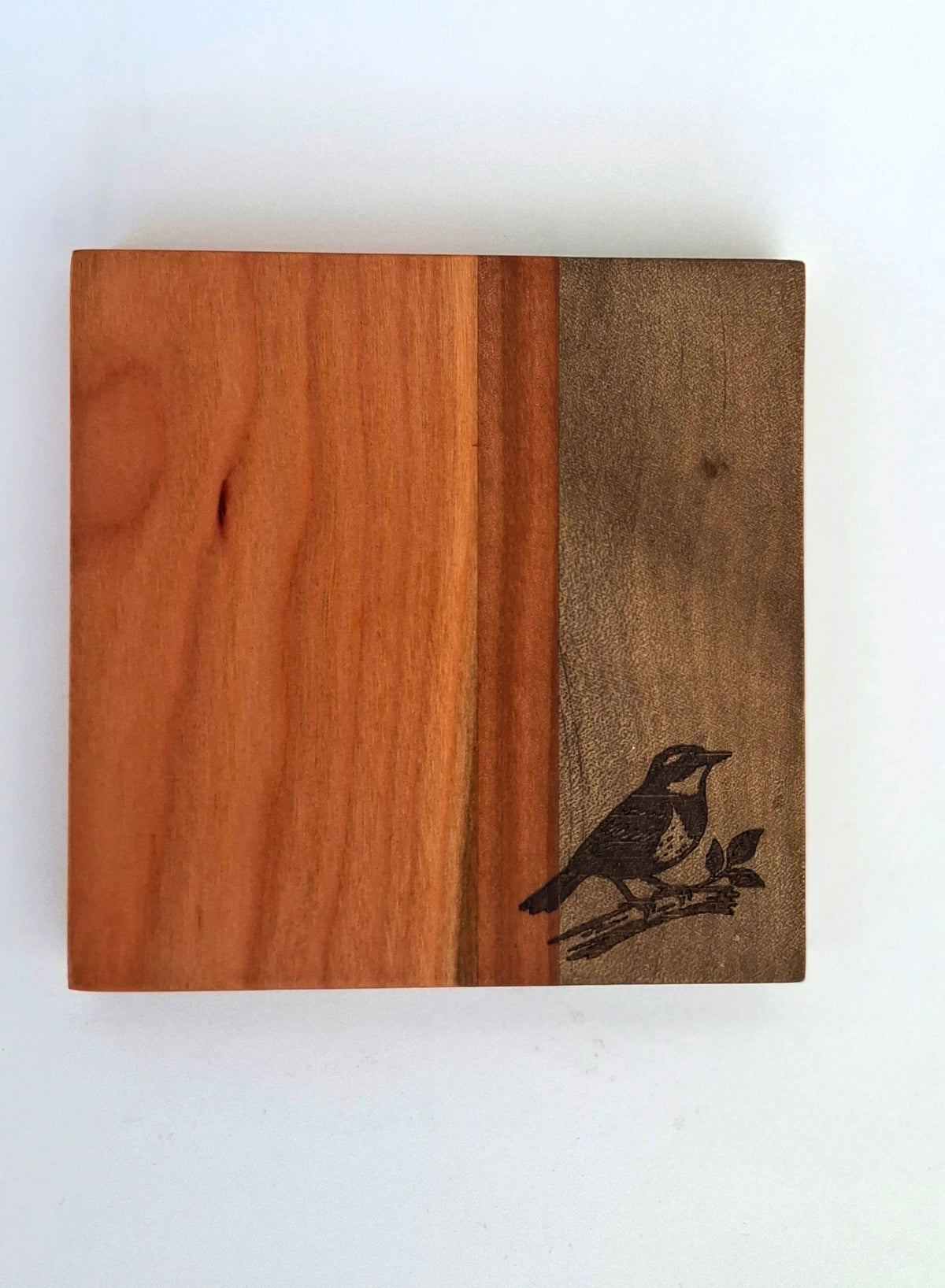 POSAVASOS PALENA - AVES CHILENAS