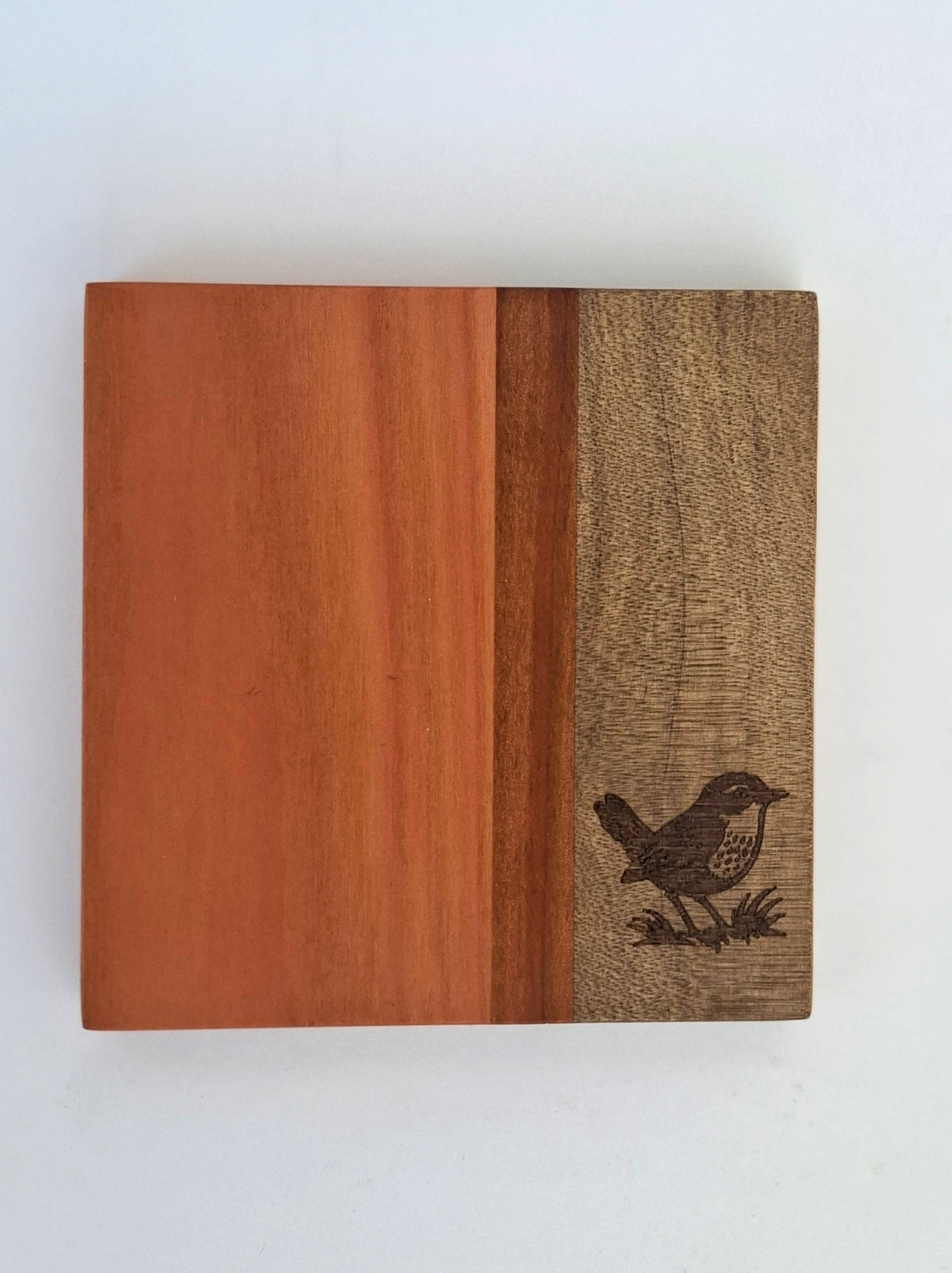 POSAVASOS PALENA - AVES CHILENAS