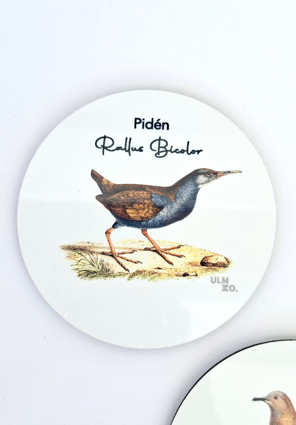 Set de 6 Posavasos Aves de Chile | ULMMO