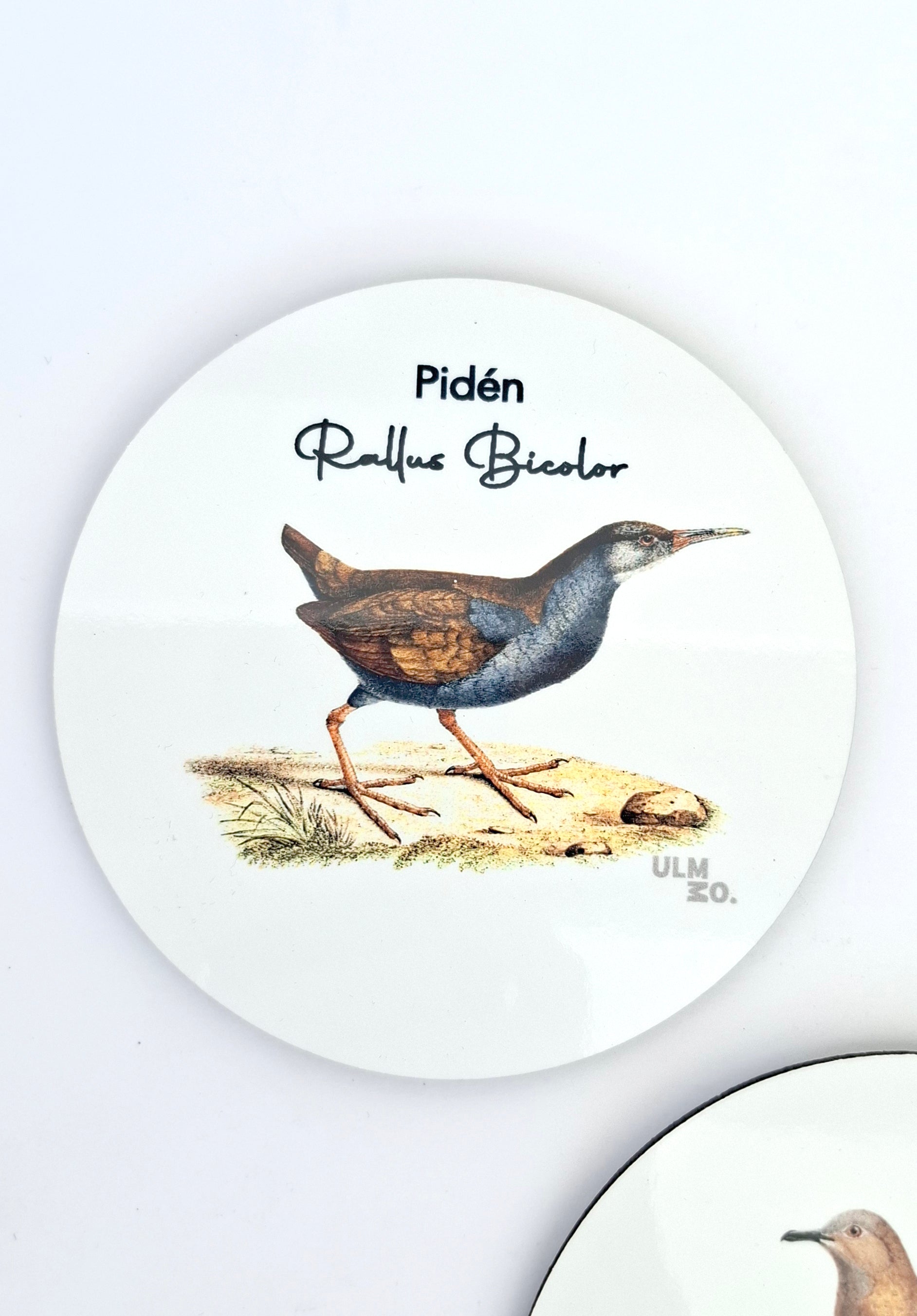 Set de 6 Posavasos Aves de Chile | ULMMO