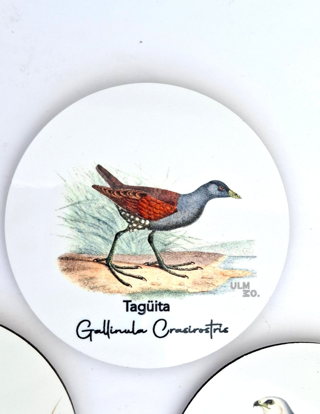 Set de 6 Posavasos Aves de Chile | ULMMO