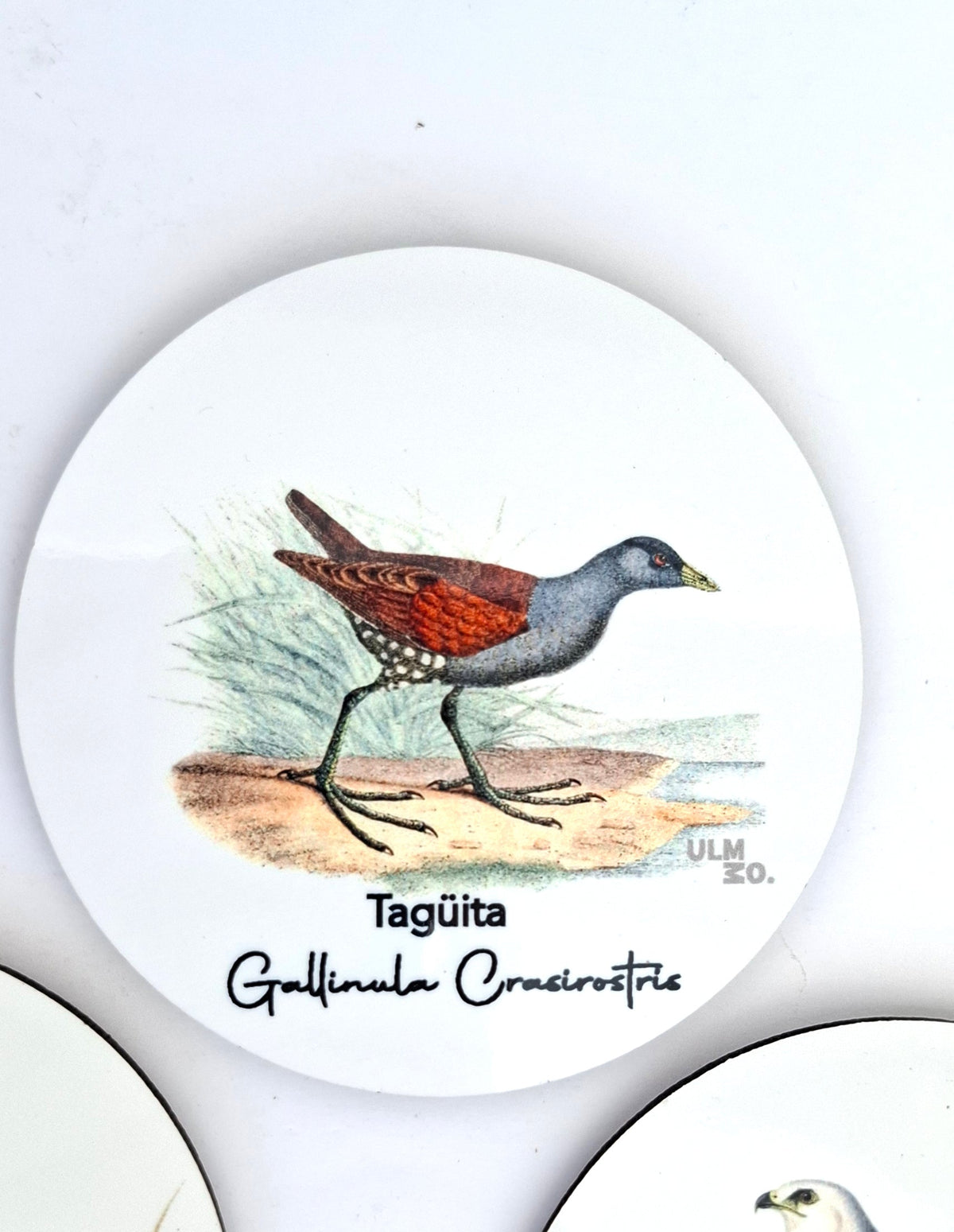 Set de 6 Posavasos Aves de Chile | ULMMO