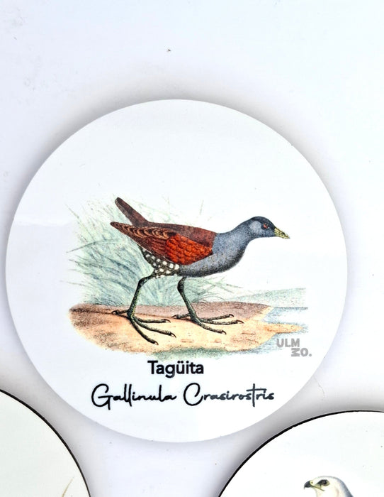 Set de 6 Posavasos Aves de Chile | ULMMO