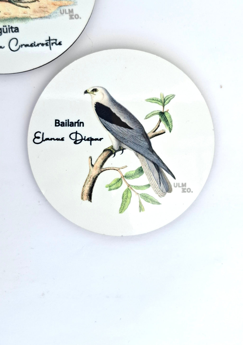 Set de 6 Posavasos Aves de Chile | ULMMO
