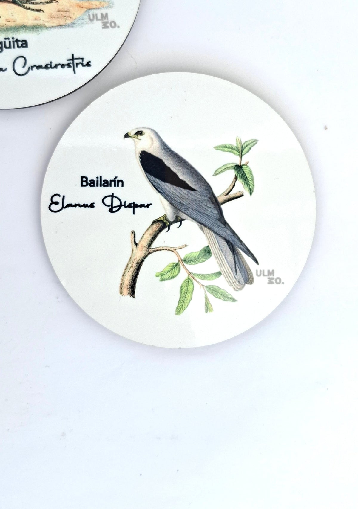 Set de 6 Posavasos Aves de Chile | ULMMO