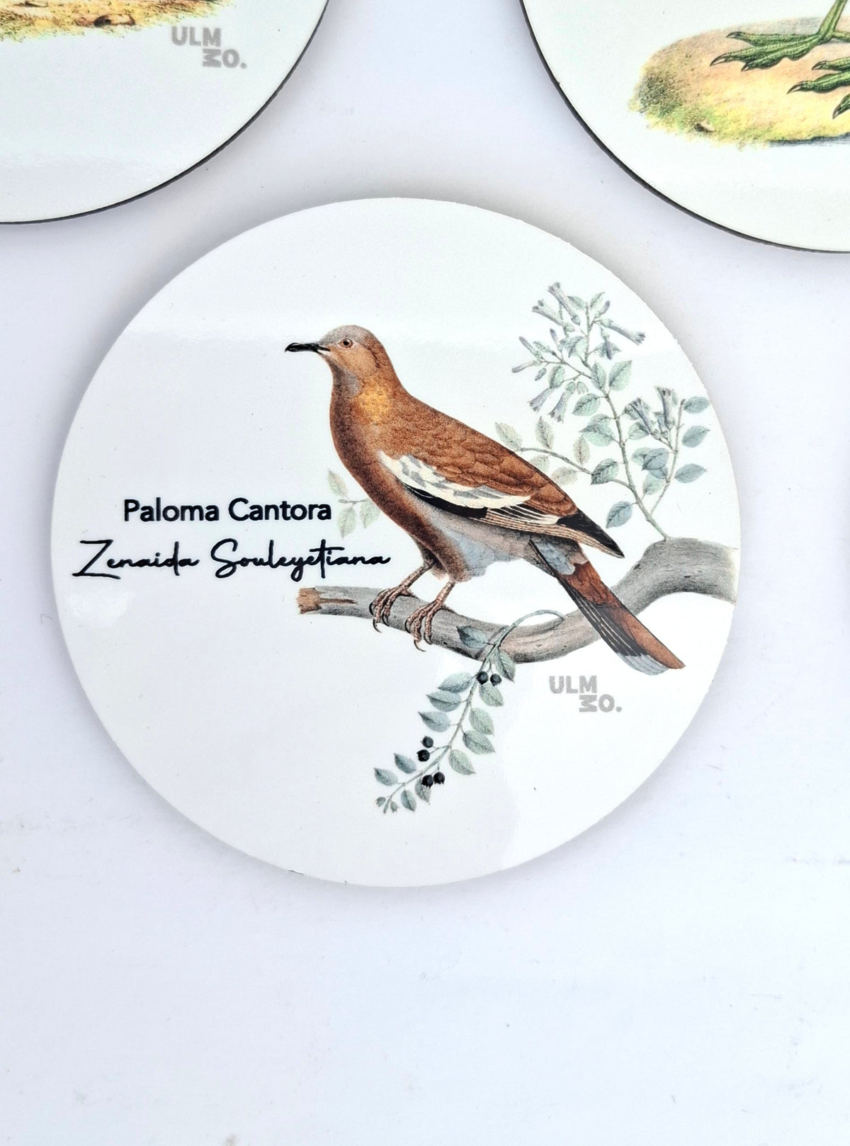 Set de 6 Posavasos Aves de Chile | ULMMO