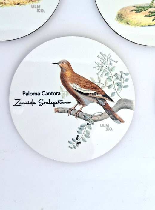 Set de 6 Posavasos Aves de Chile | ULMMO