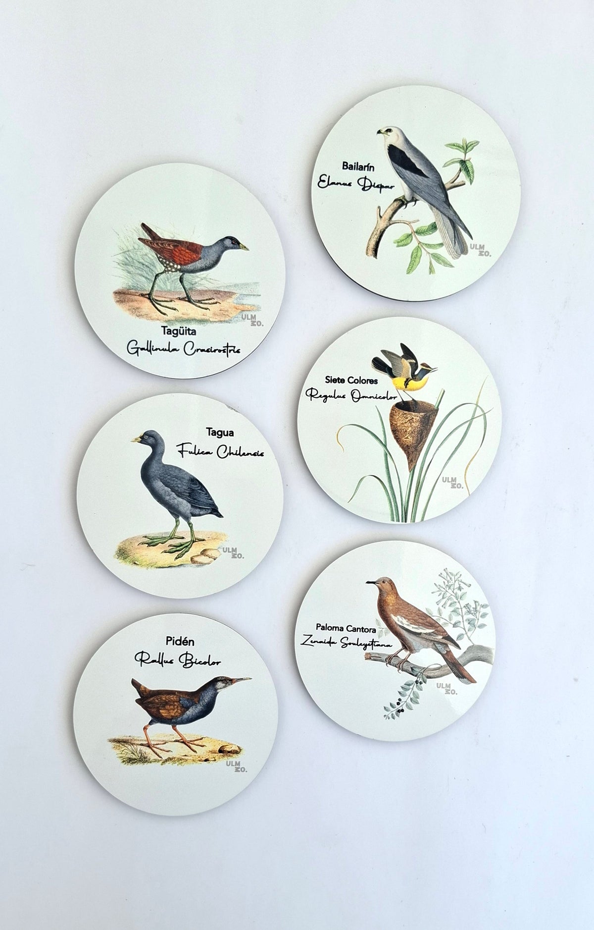 Set de 6 Posavasos Aves de Chile | ULMMO