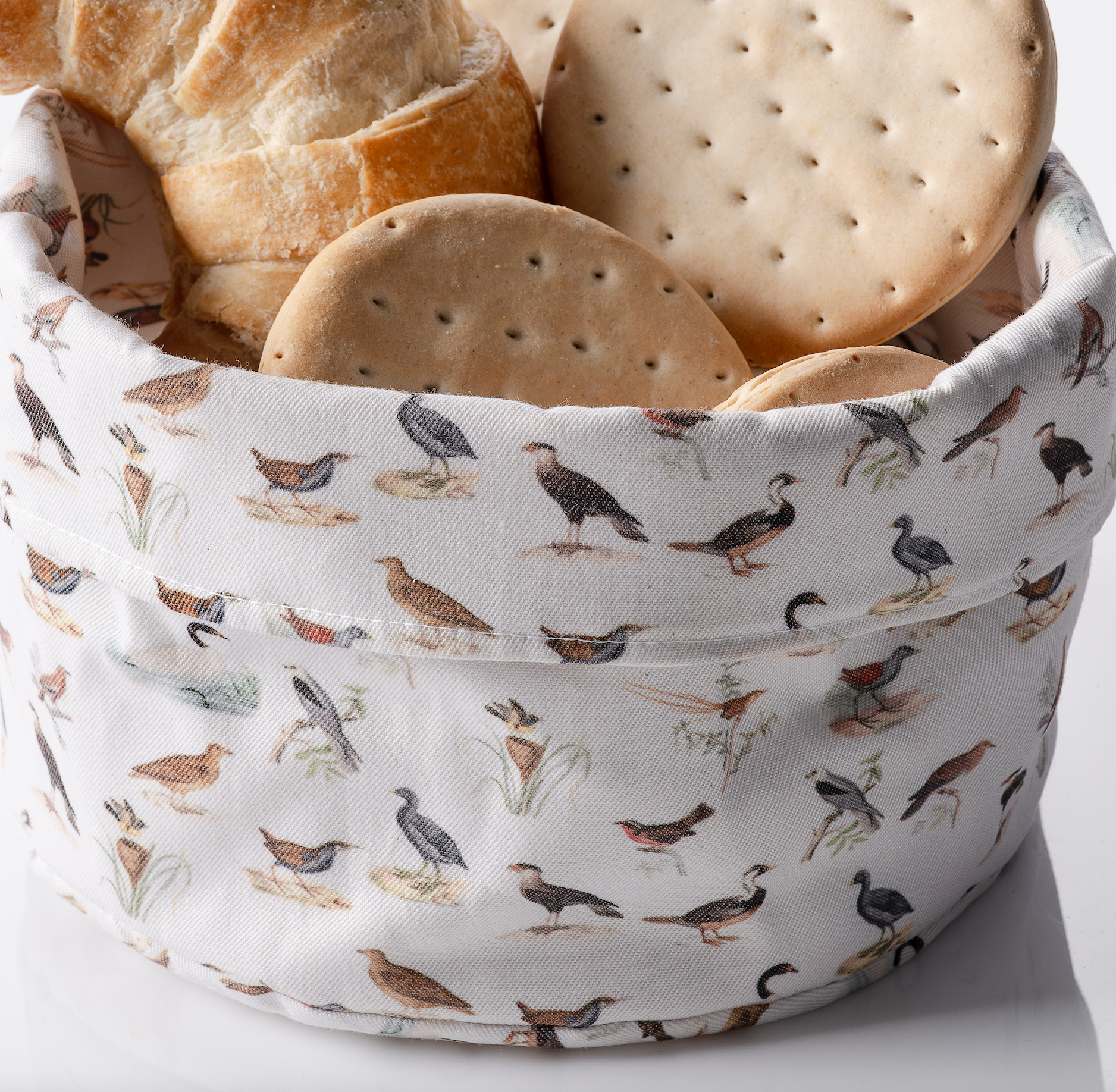 Panera ULMMO- Aves de Chile