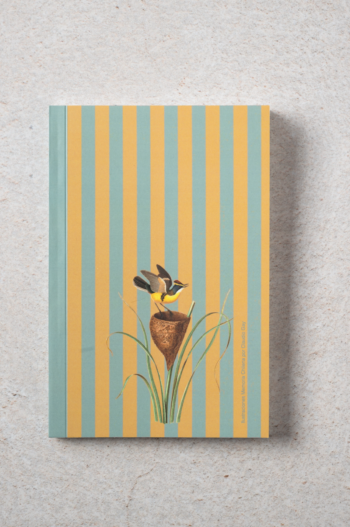 Libreta Ilustrada Ulmmo- Siete Colores