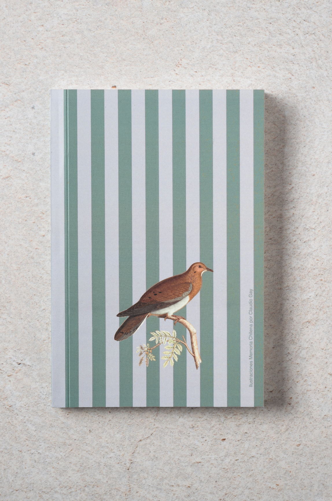 Libreta Ilustrada Ulmmo- Tortola