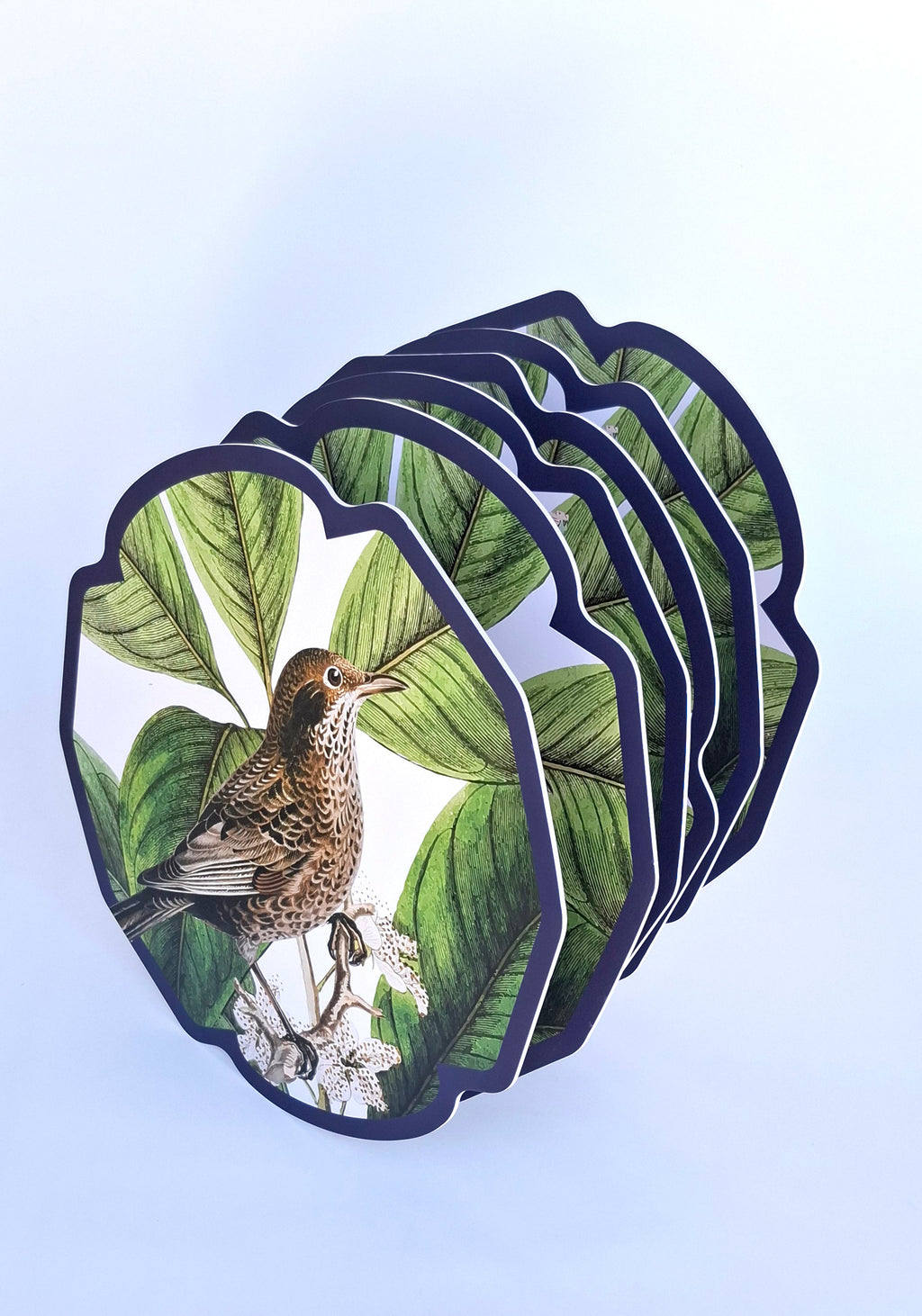 Set de 6 Individuales Pájaros – Colección "Creado x Coty Abbott"