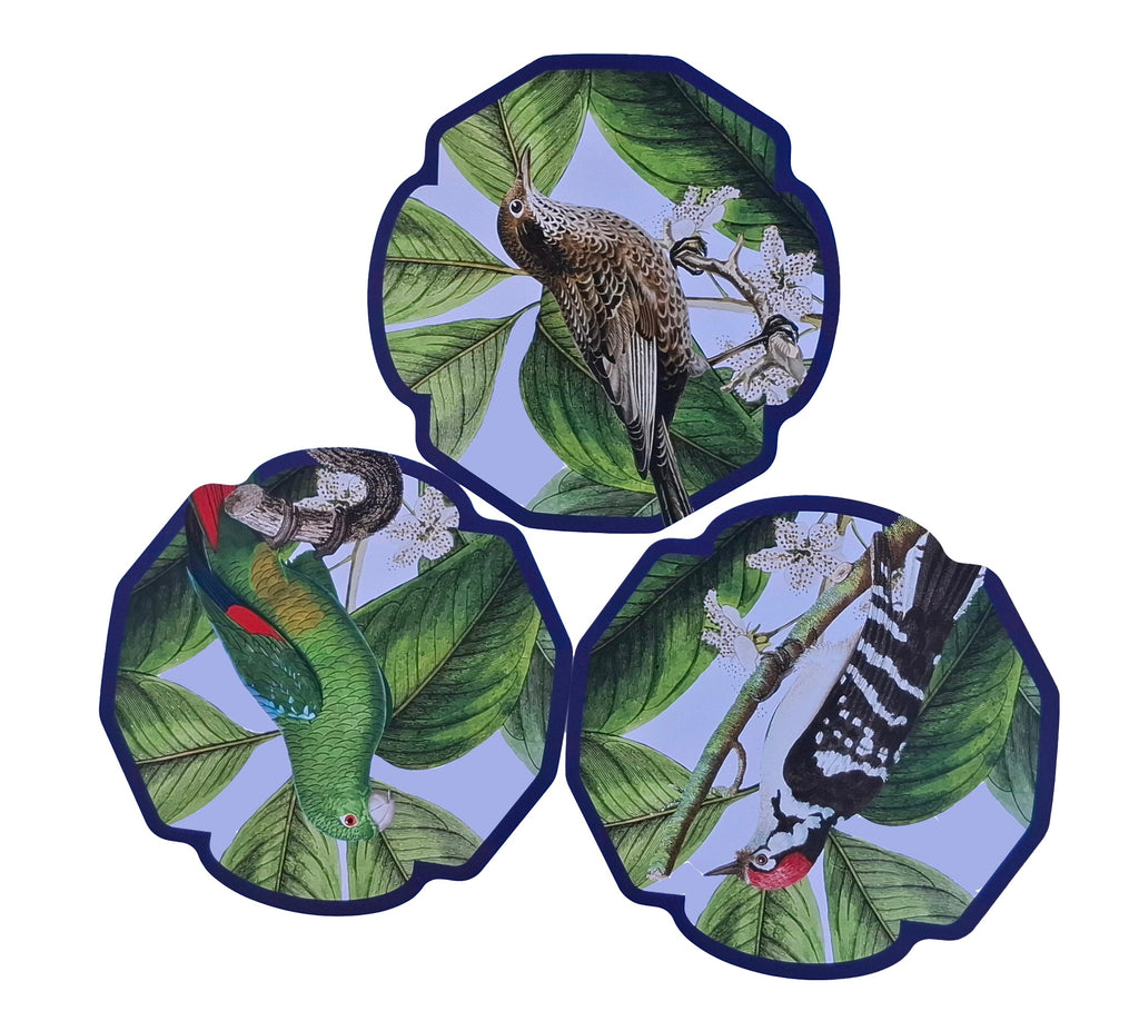 Set de 6 Individuales Pájaros - Creado x Coty Abbott