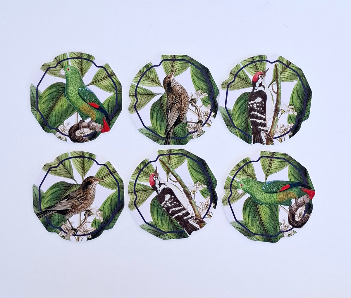 Set de 6 Posavasos Pájaros - Creado x Coty Abbott