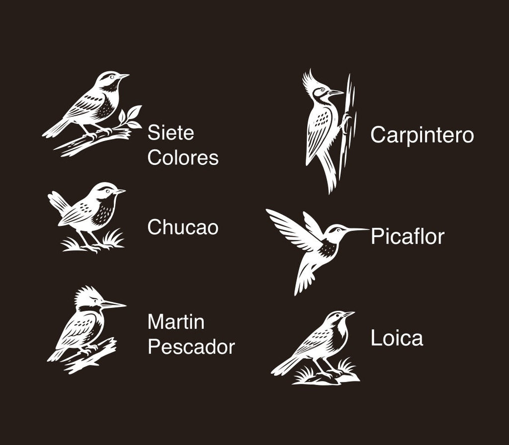 POSAVASOS PALENA - AVES CHILENAS