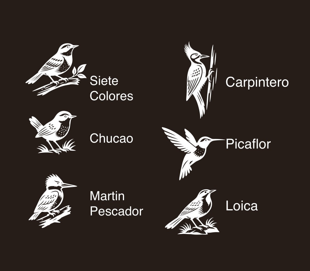 POSAVASOS PALENA - AVES CHILENAS