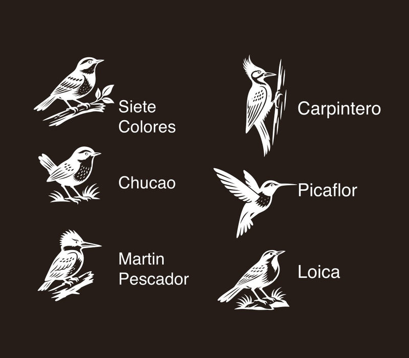 POSAVASOS PALENA - AVES CHILENAS