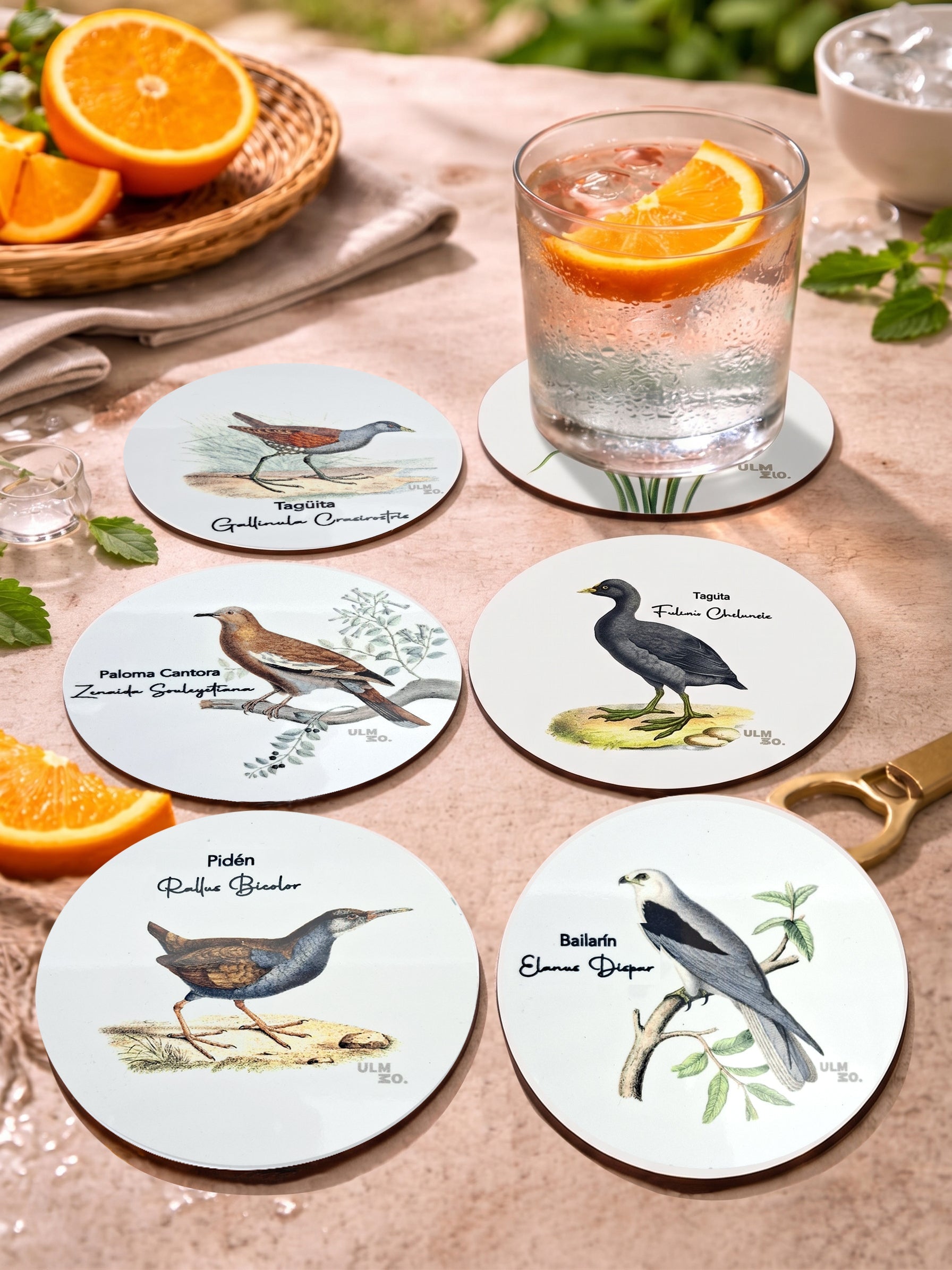 Set de 6 Posavasos Aves de Chile | ULMMO